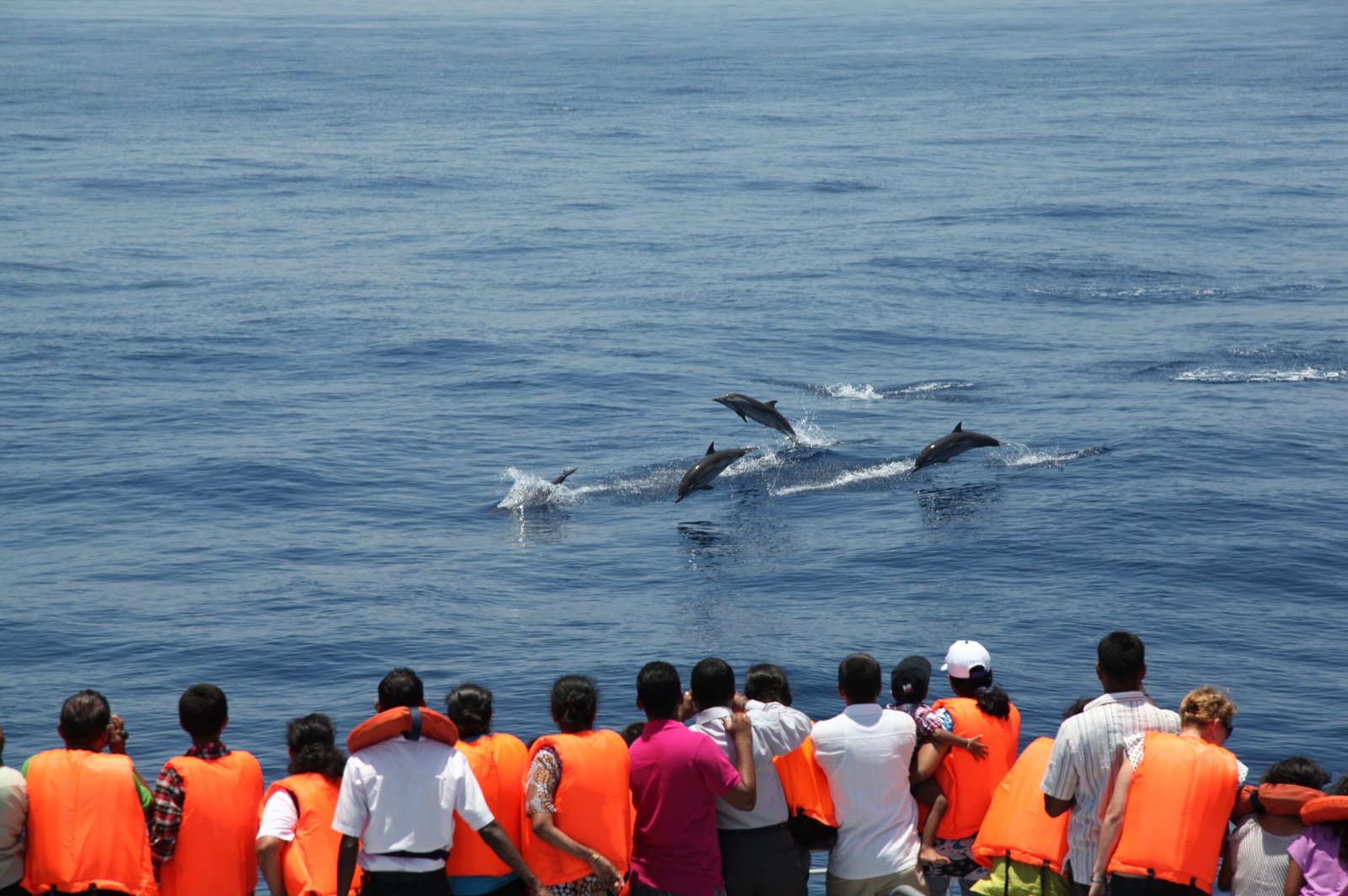 Coastal Bliss & Adventure
    Beaches, water sports, villages
    Explore More