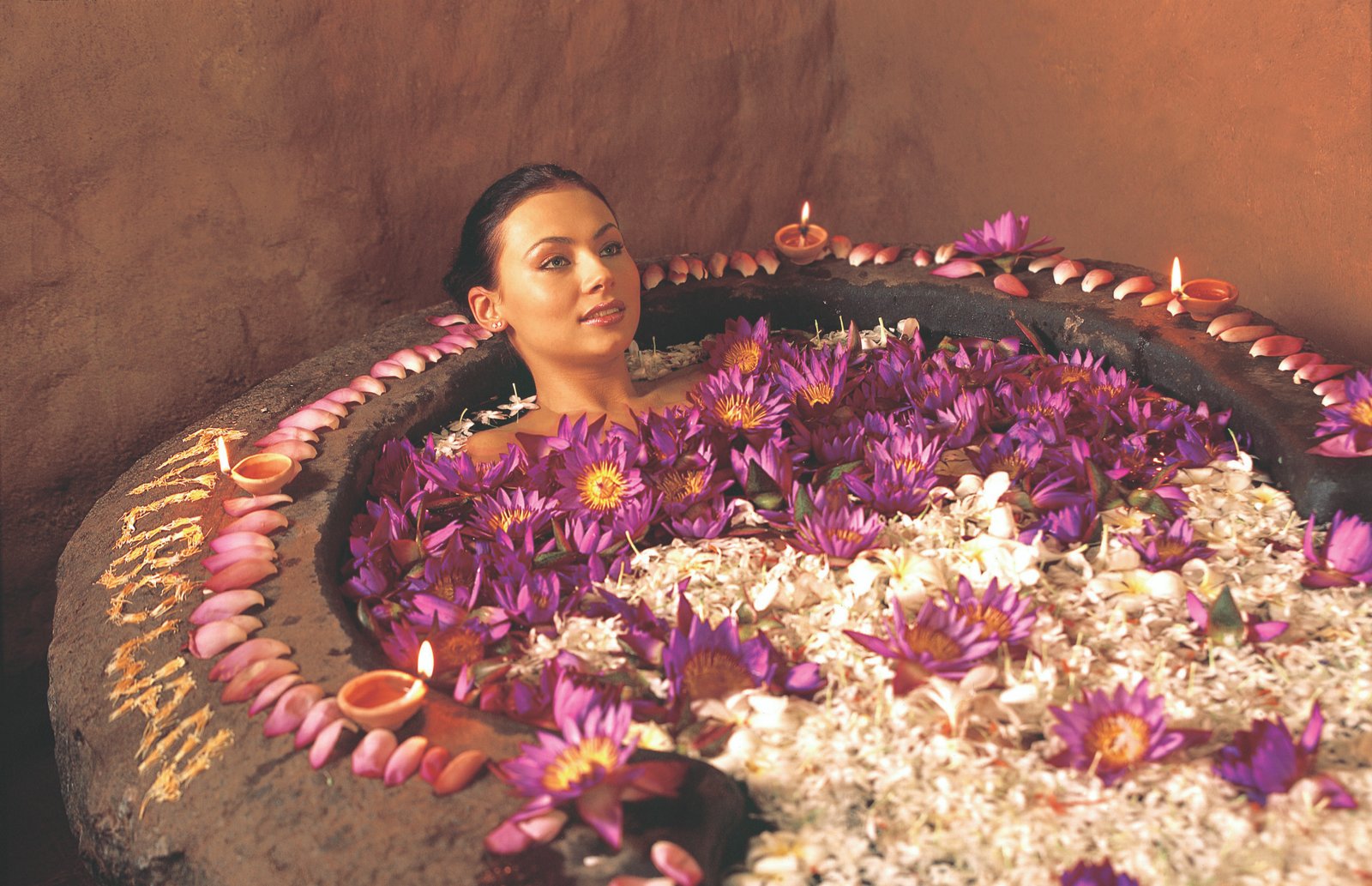 Wellness & Ayurveda Retreats
Mind–Body Rejuvenation