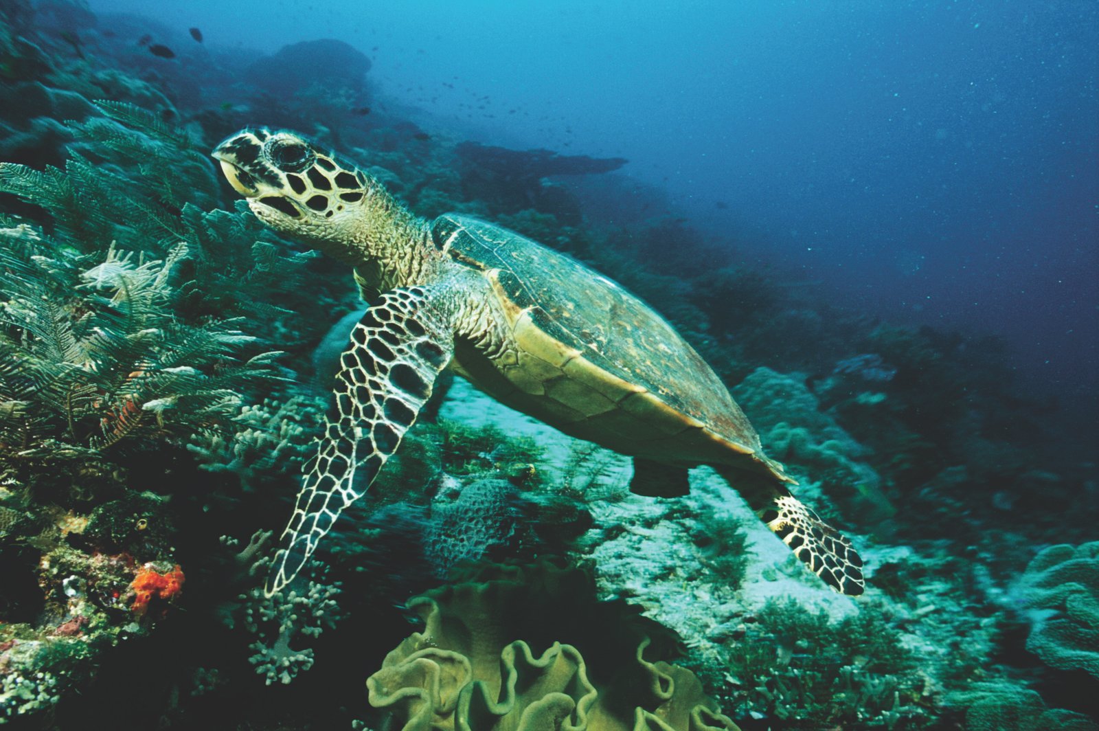 Special Tours 
    
    Explore More