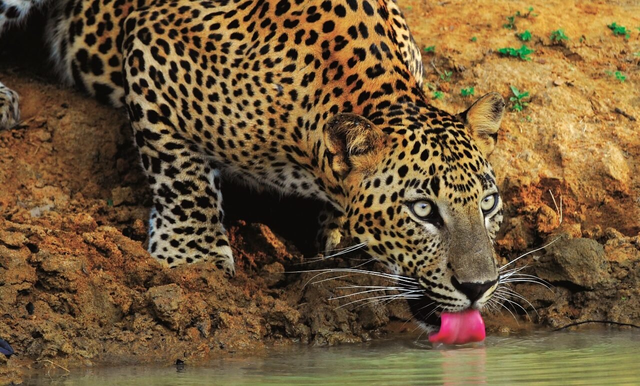 WhatsApp Image 2025-11-24 at 15.10.29_c50c1679