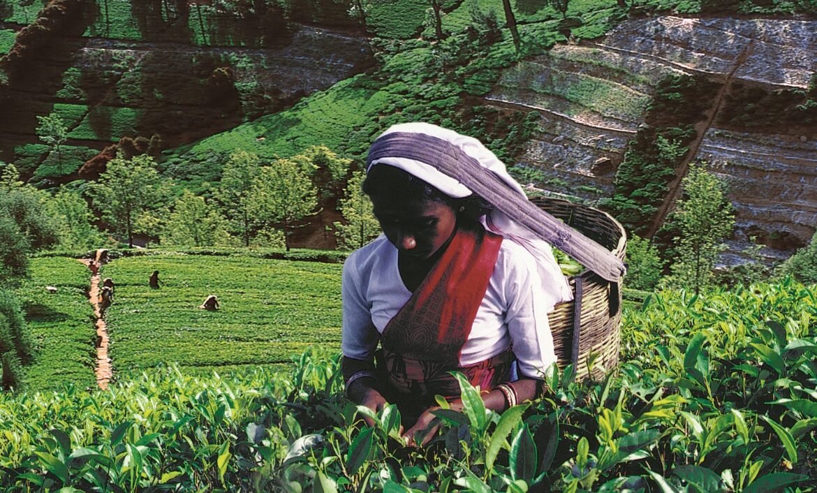 WhatsApp Image 2025-11-24 at 15.10.31_18bb6f29