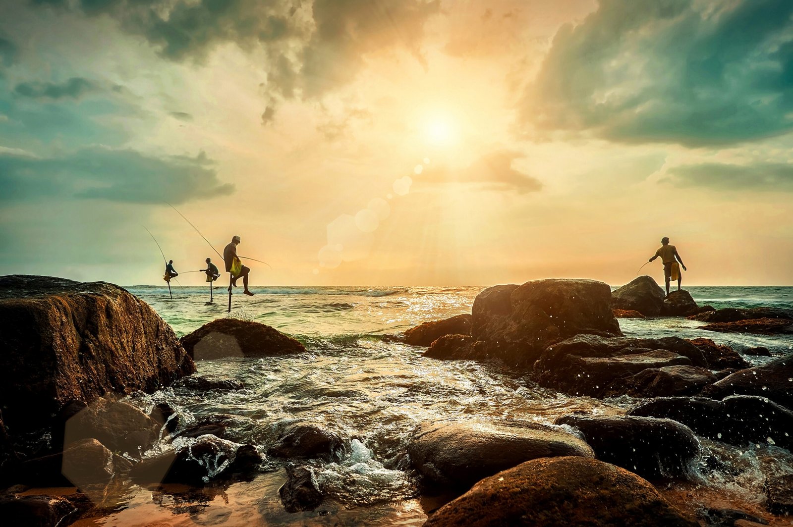 The Island Explorer
    Full island tour
    Explore More