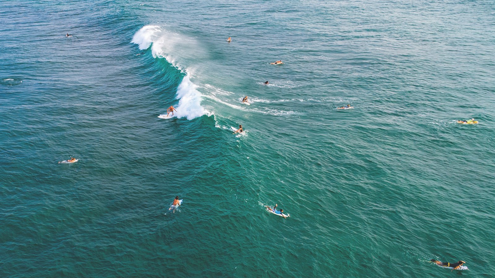 shutterstock_1286891236 scaled