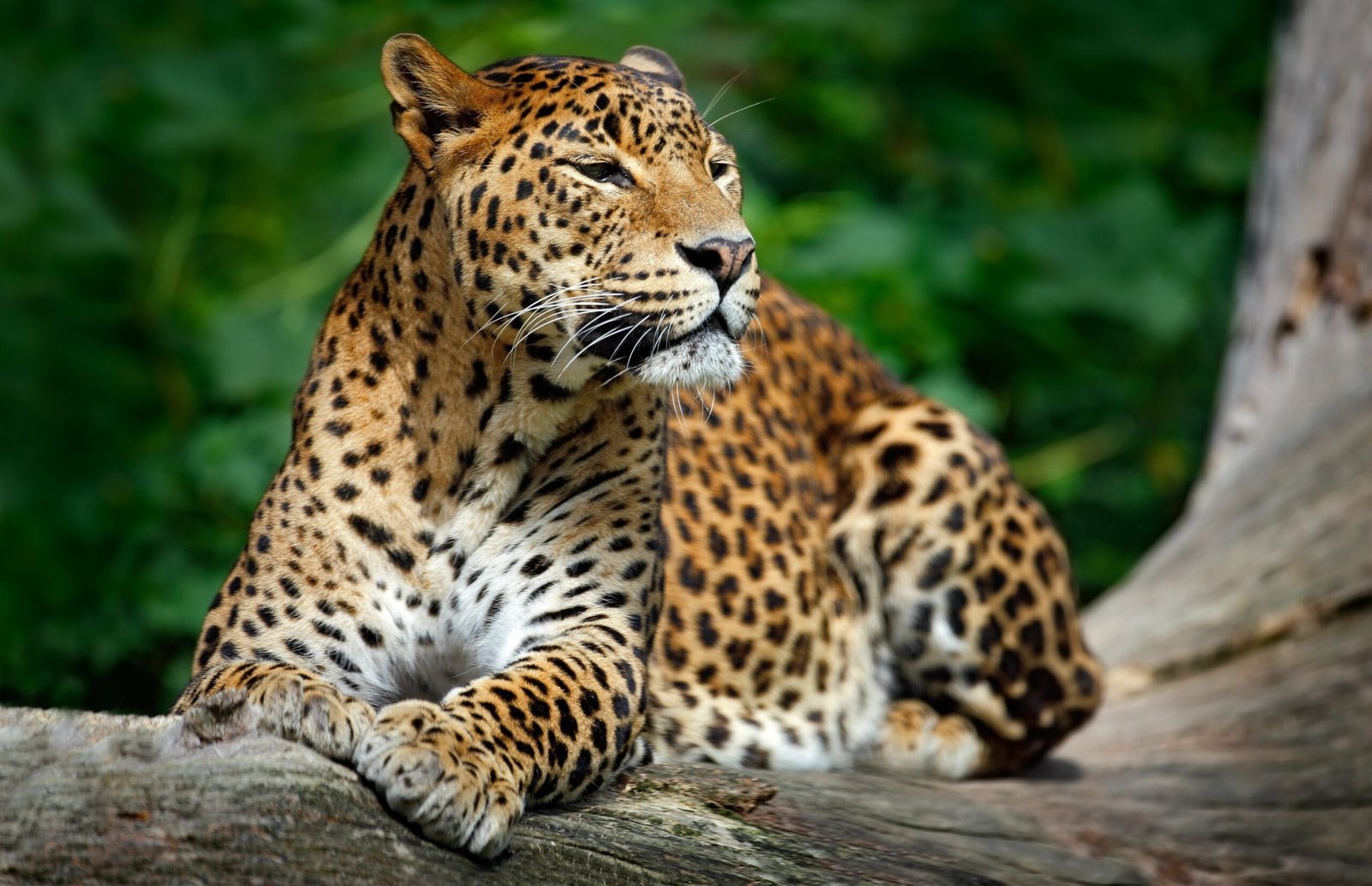 Nature & Wildlife Encounters
Wild Nature Adventures