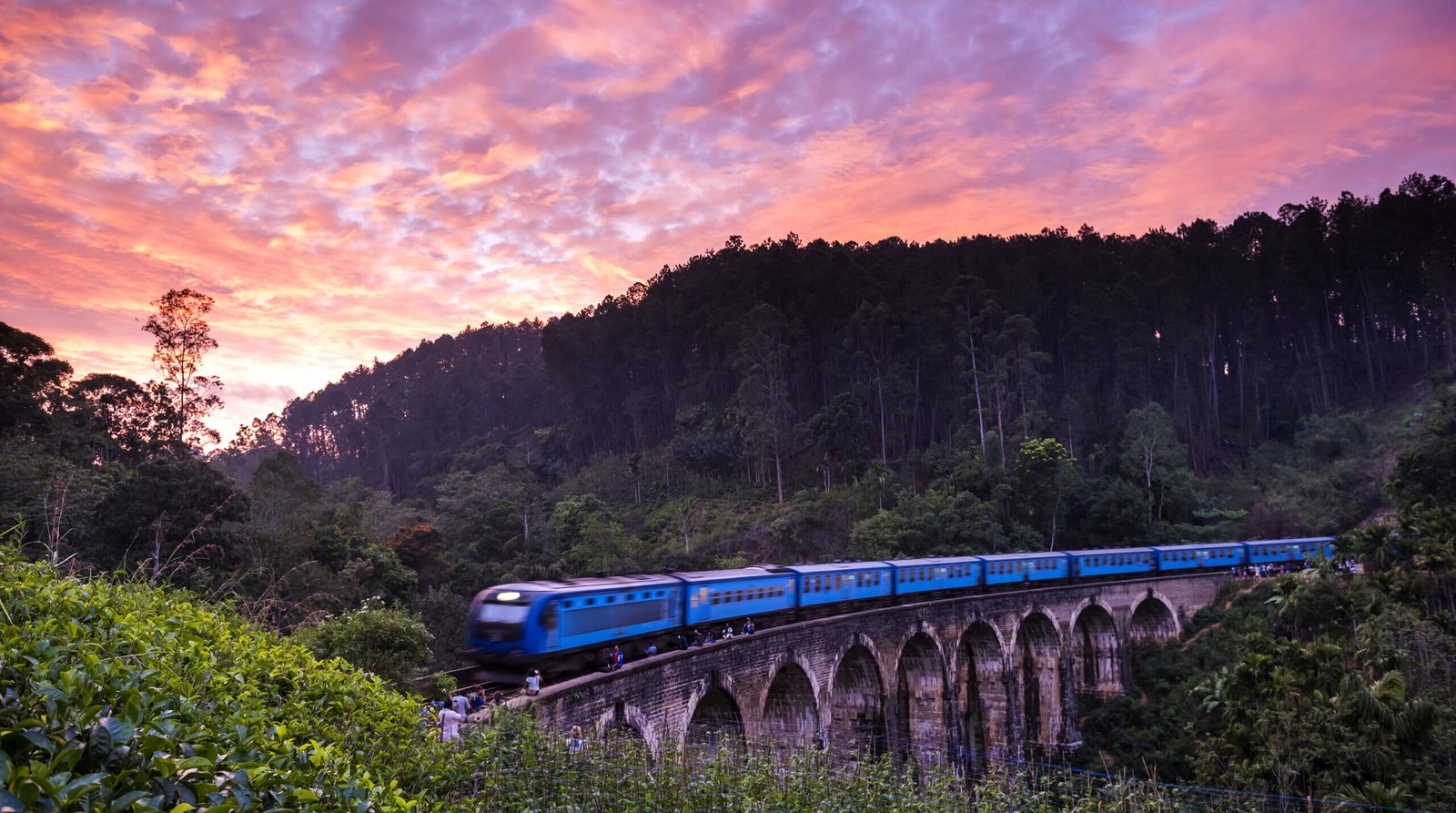 shutterstock_546769138 1 scaled e1765533454865