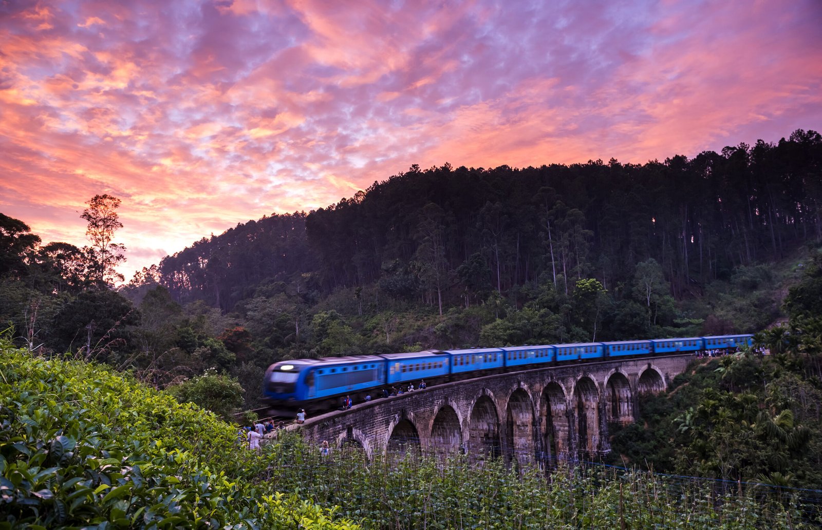 Scenic Train Journeys
Iconic Highland Ride