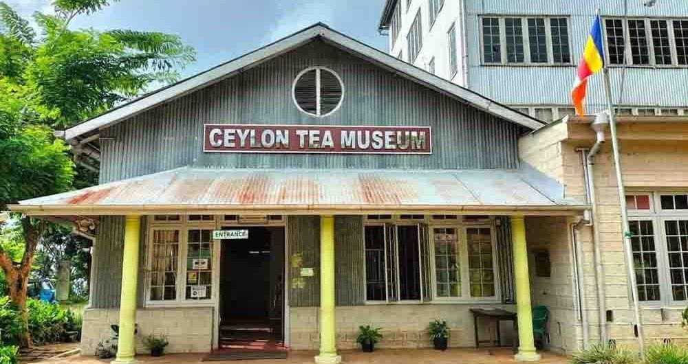tea musium
