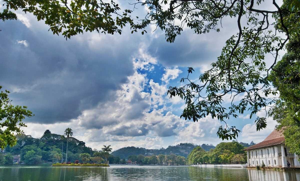 11118120843b6701f84a7k_20230410165803