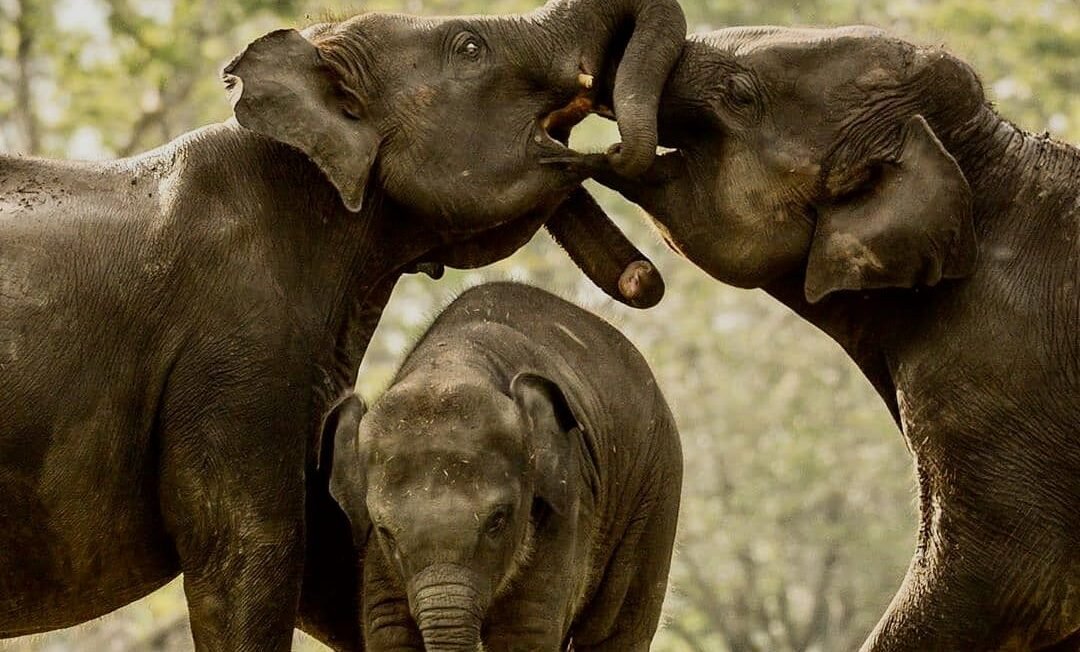 9d658bb73811111db26cb46702730b1c