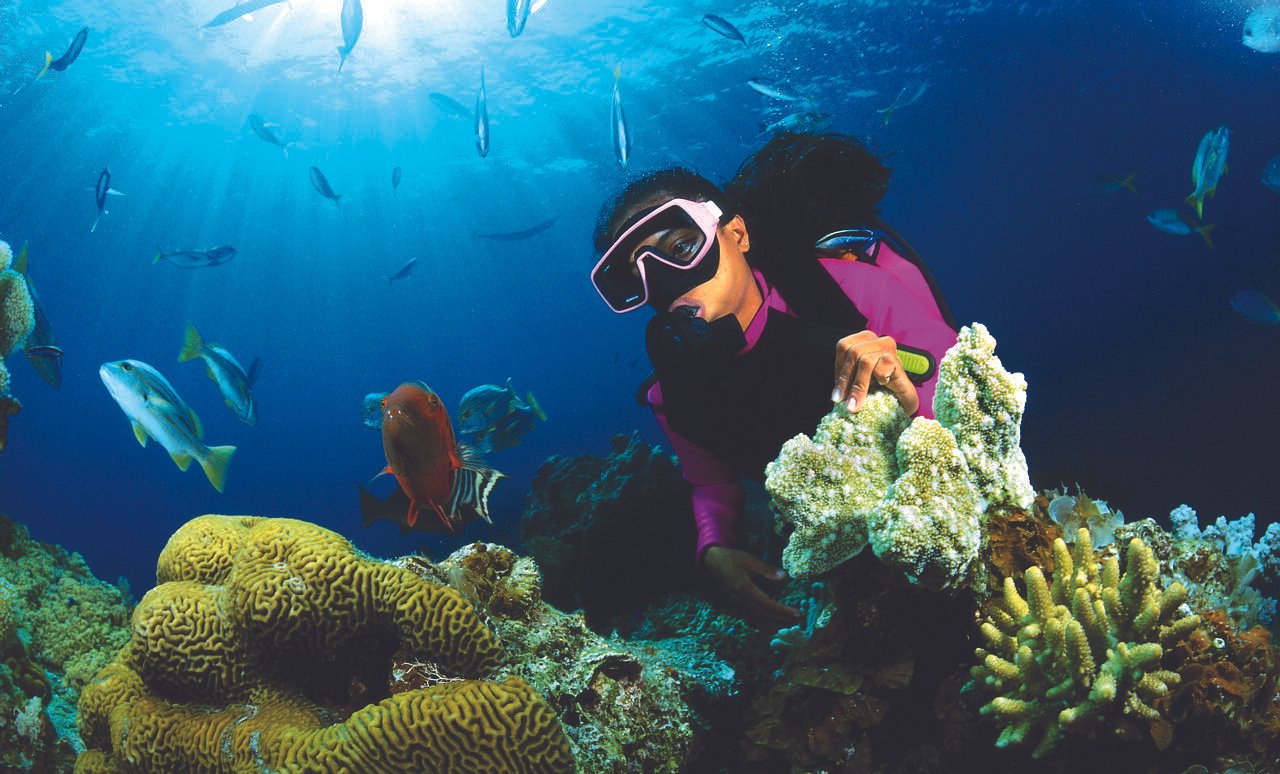 Hikkaduwa - Fringing Coral Reef-02