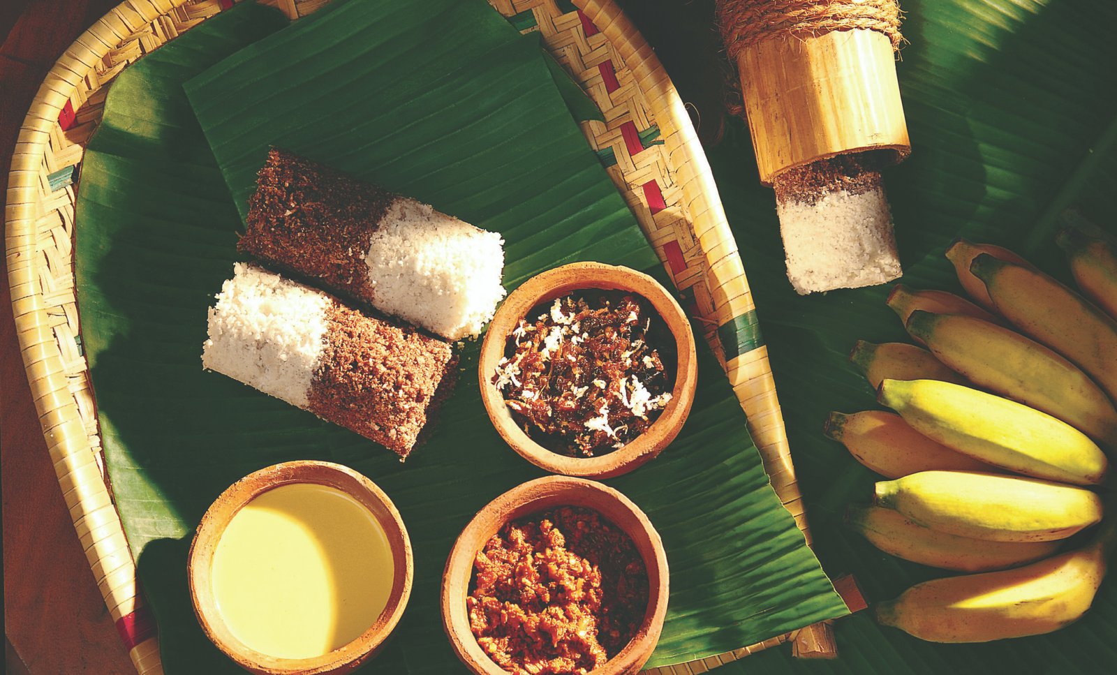 Pittu 01 scaled e1765604218180