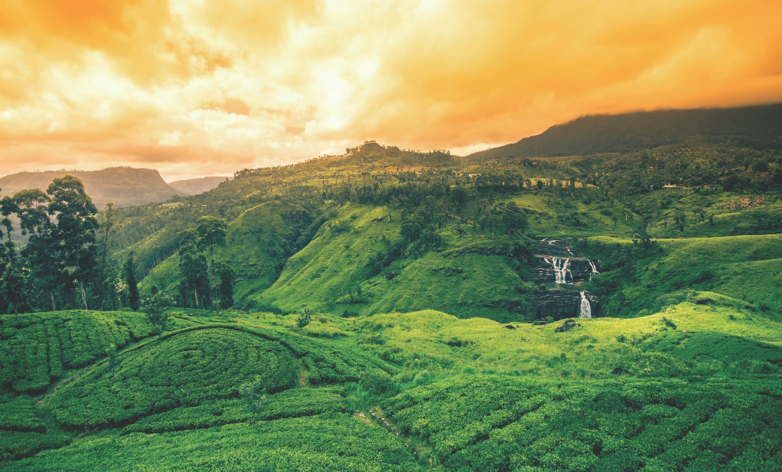 Beautiful st.clairs waterfall landscape in Sri Lanka